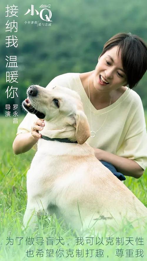 一比一仿英国